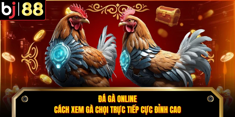 Đá Gà Online - Cách Xem Gà Chọi Trực Tiếp Cực Đỉnh Cao